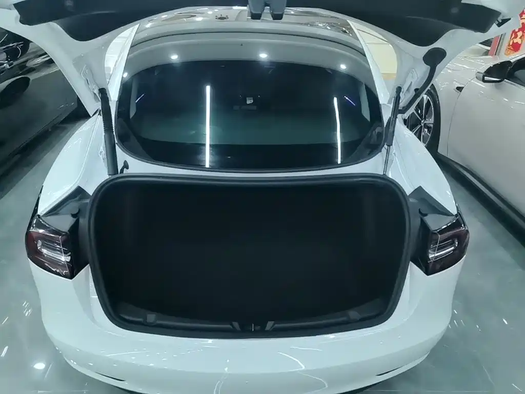 Tesla Model 3 — миниатюра 19