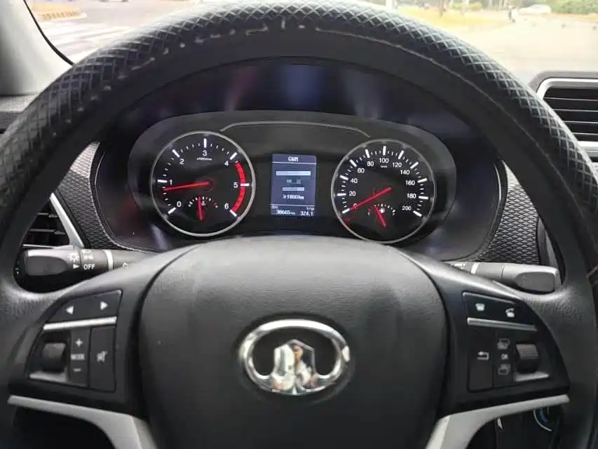 GREAT WALL FENGJUN 5