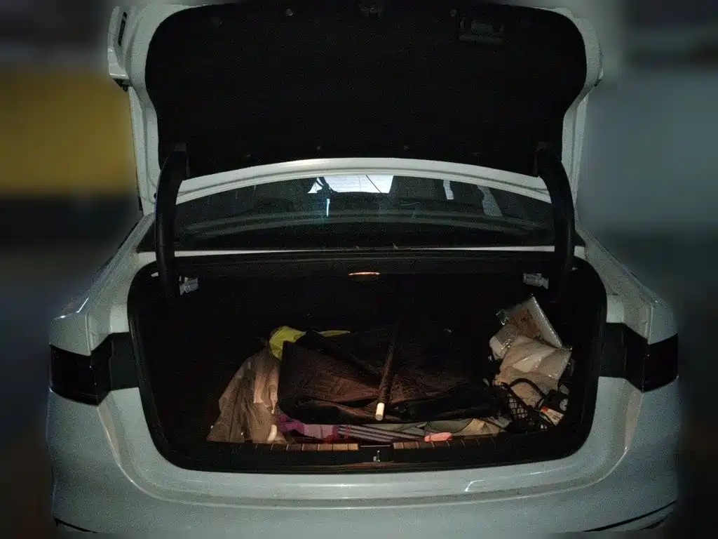BYD Qin PLUS — миниатюра 20