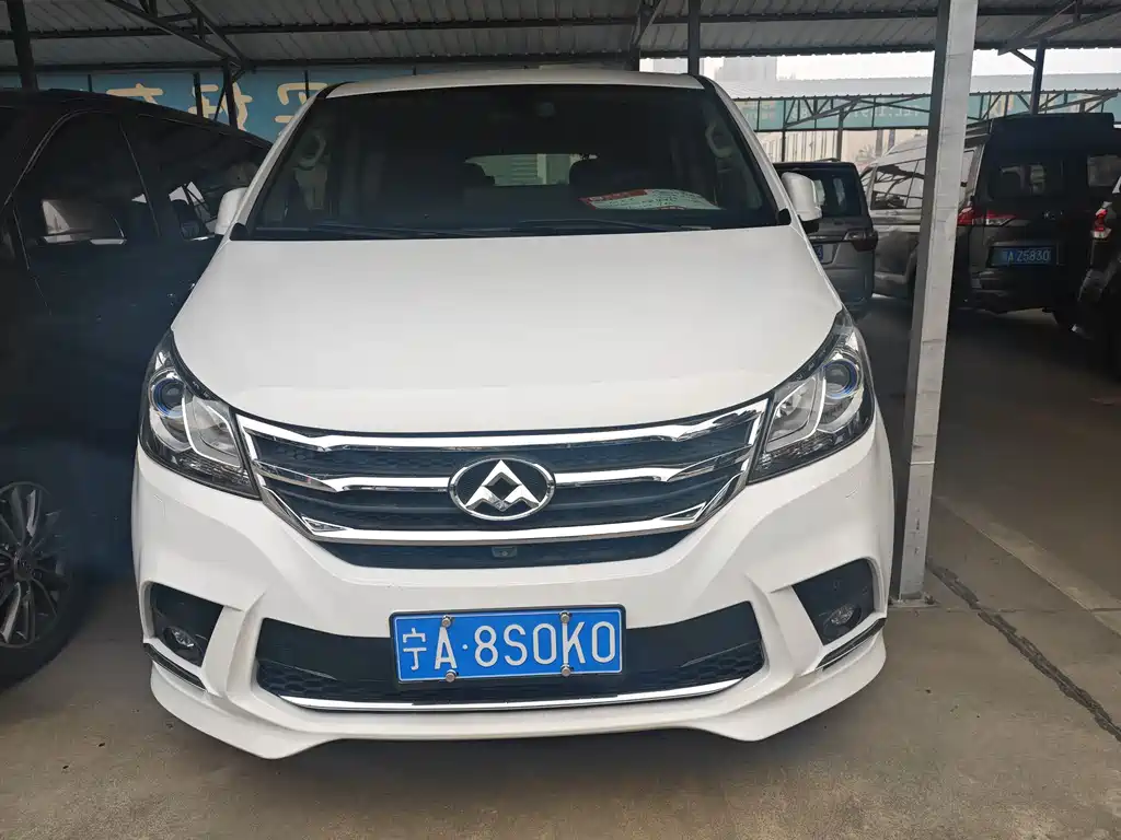 SAIC MAXUS CHASE G10