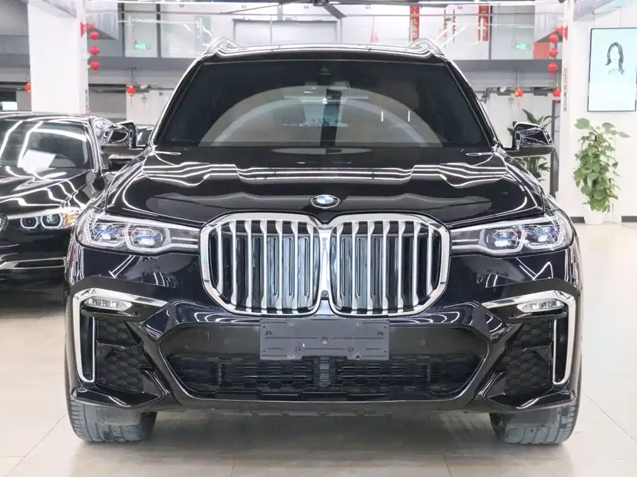 BMW X7 — миниатюра 2