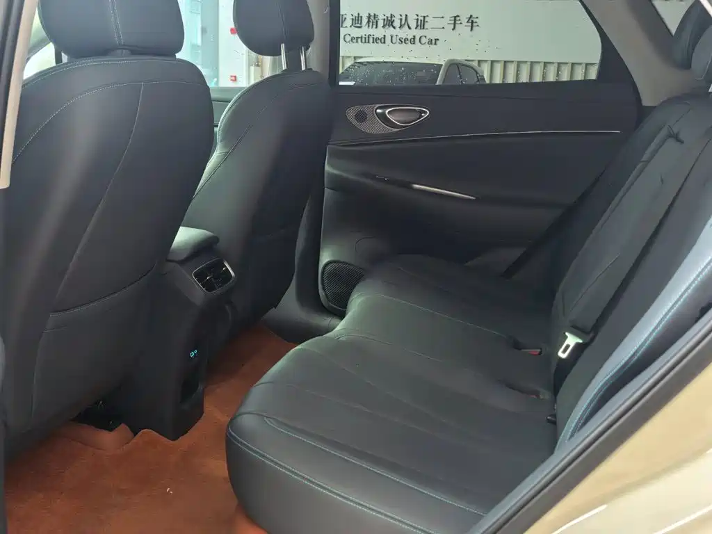 BYD Haisi 06 — миниатюра 11
