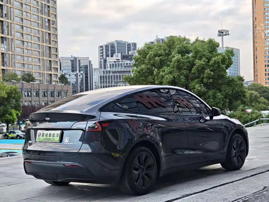 Tesla Model Y — миниатюра 7