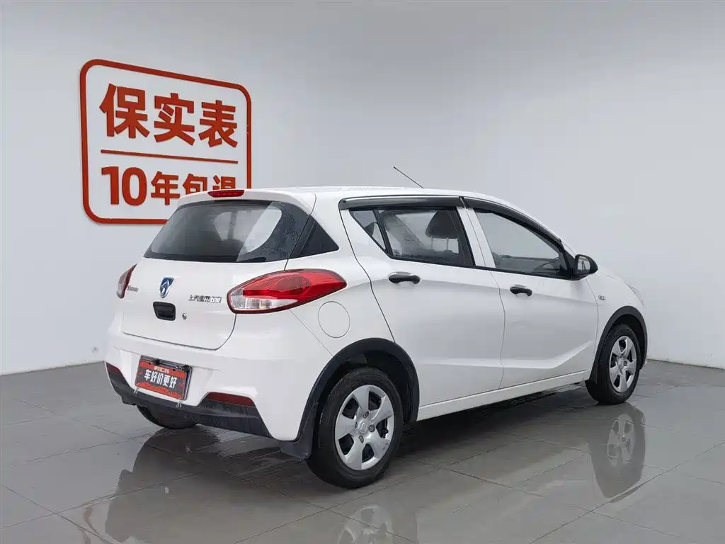 BAOJUN  310