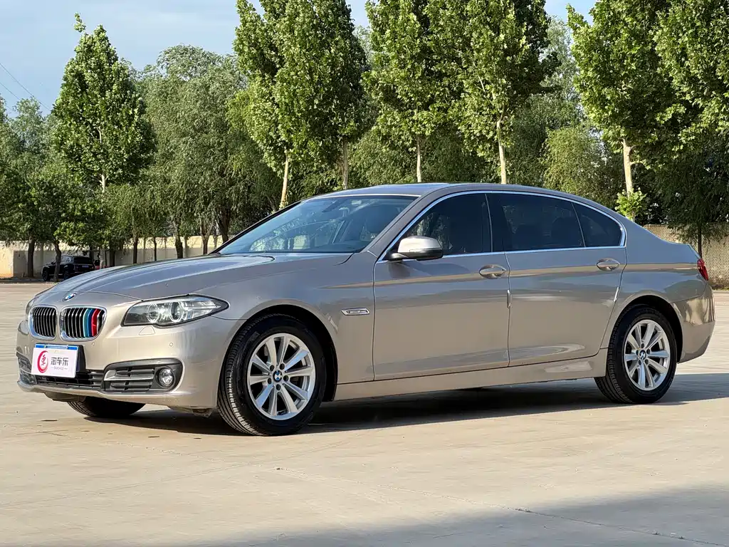 BMW 5 Series 2015