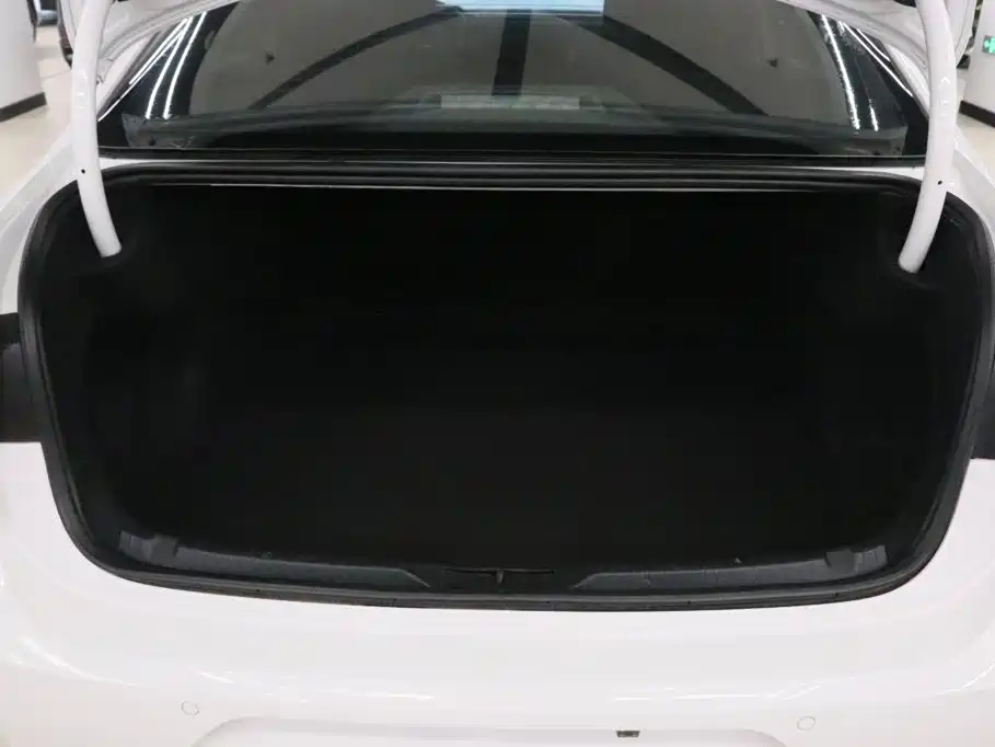 Volkswagen Lamando — миниатюра 16