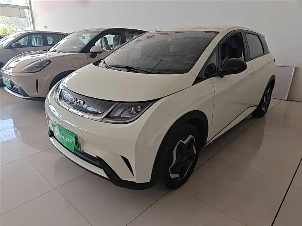 Byd Dolphin 2024