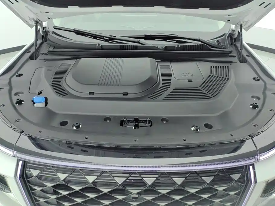 Shanhai Shanhai L9 — миниатюра 10