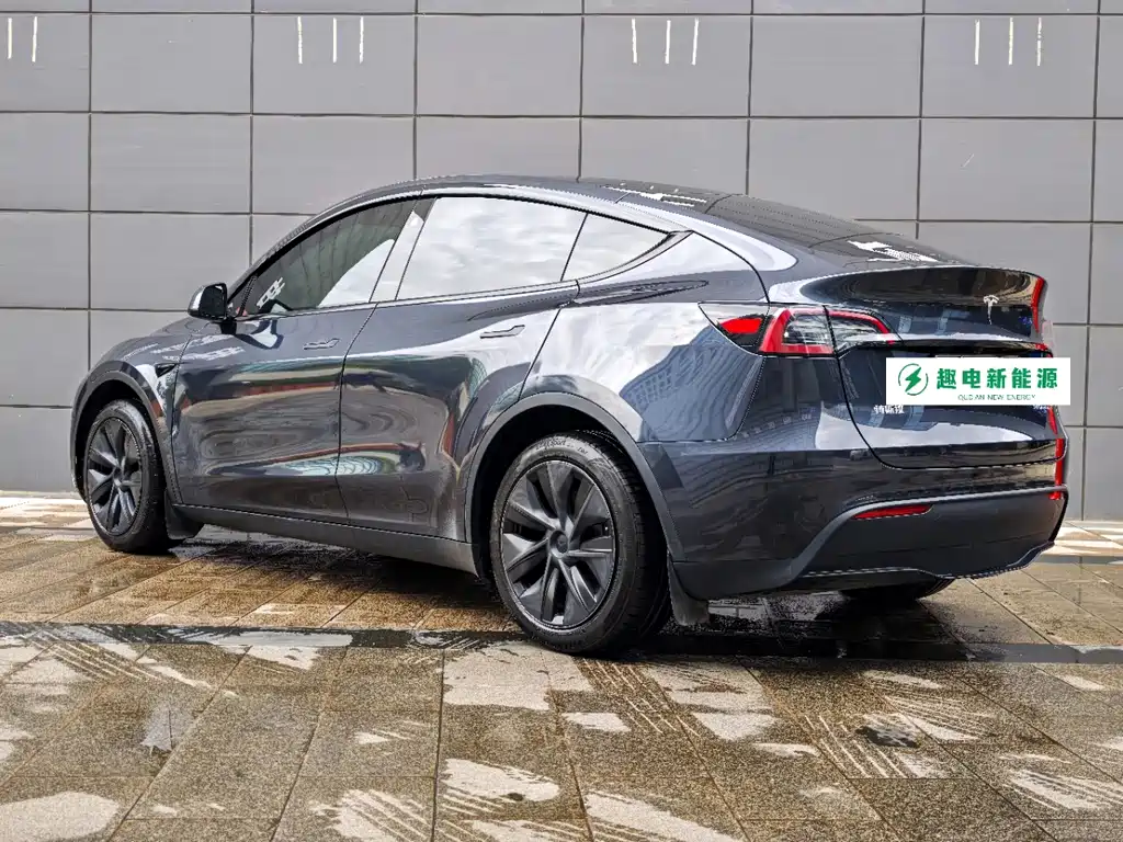 Tesla Model Y — миниатюра 4