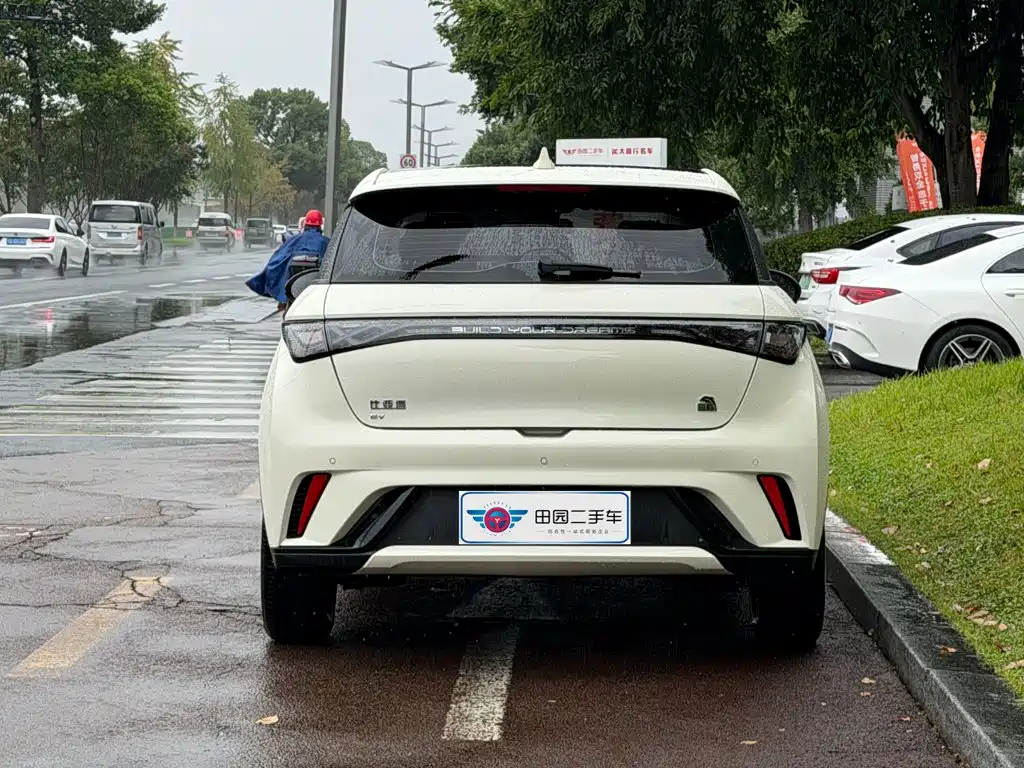 BYD Dolphin — миниатюра 5