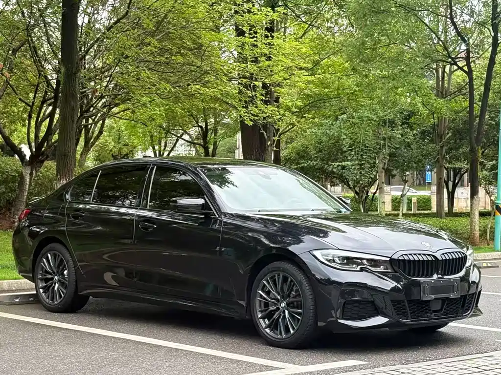 BMW 3 Series — миниатюра 3