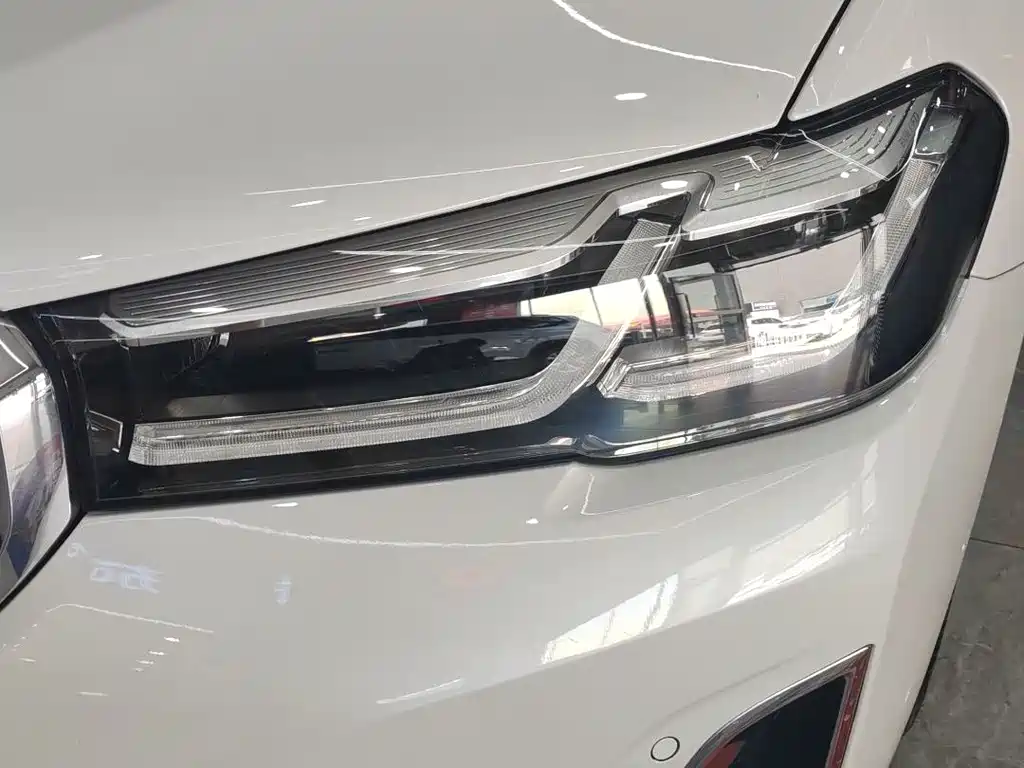 BMW 5 Series 5 2021 530Li Lead Luxury