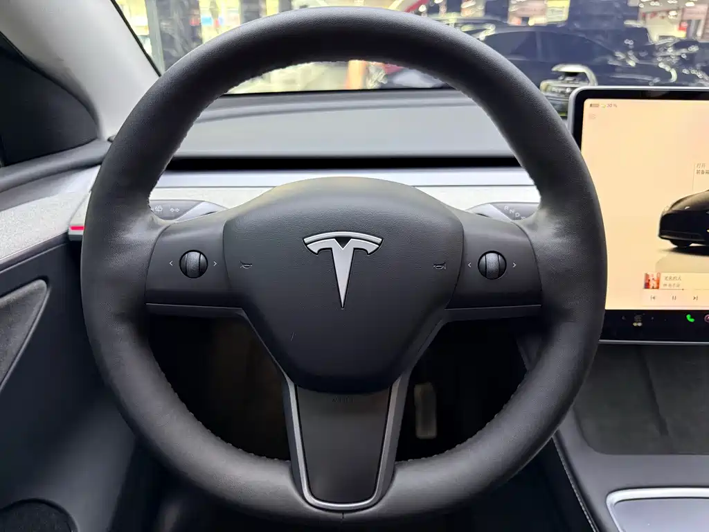 Tesla Model Y — миниатюра 12