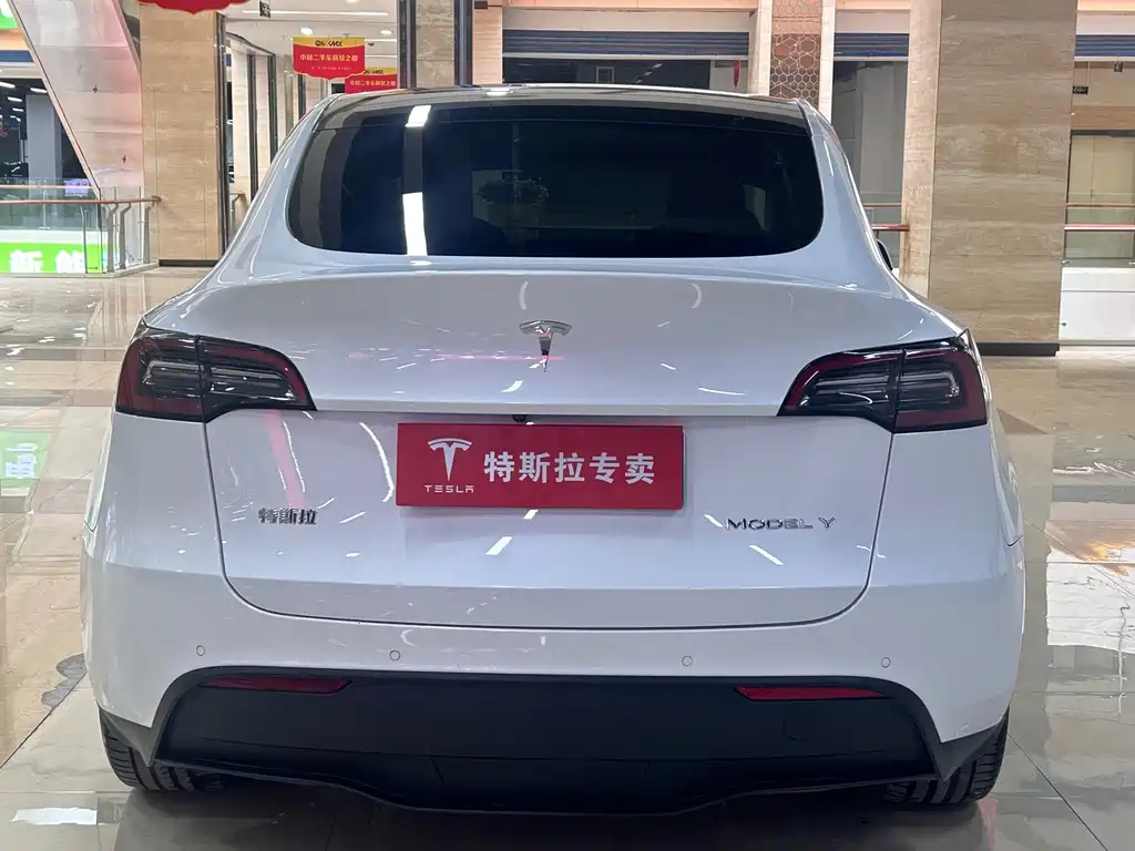 Tesla Model Y — миниатюра 10
