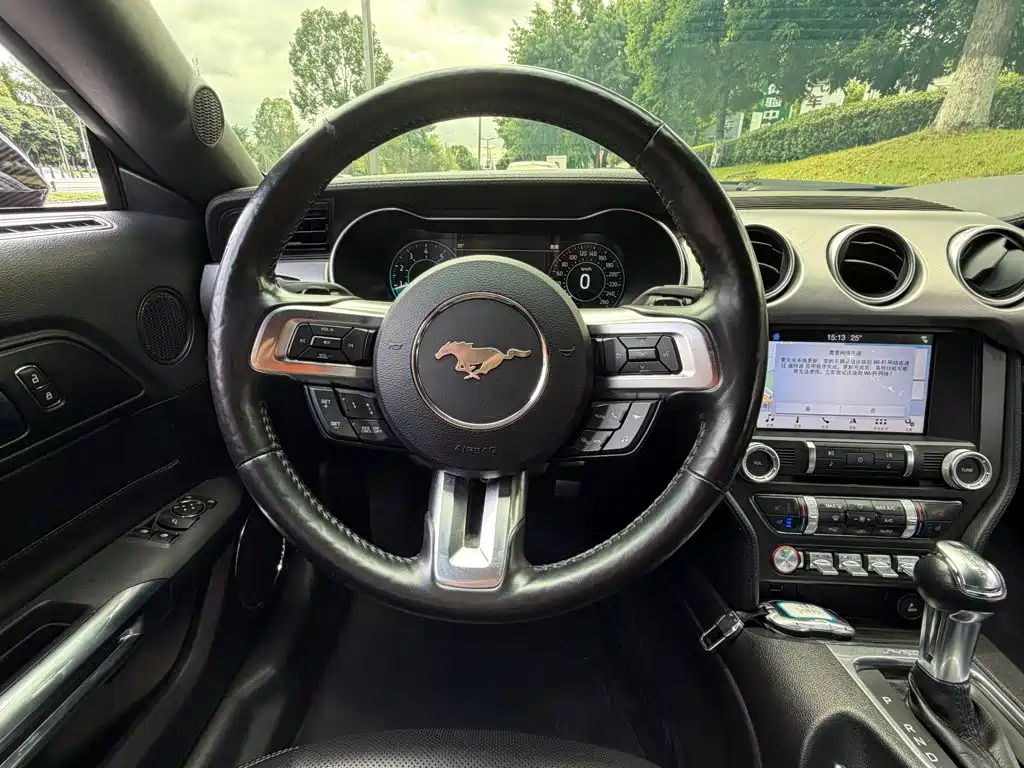 Ford Mustang — миниатюра 12