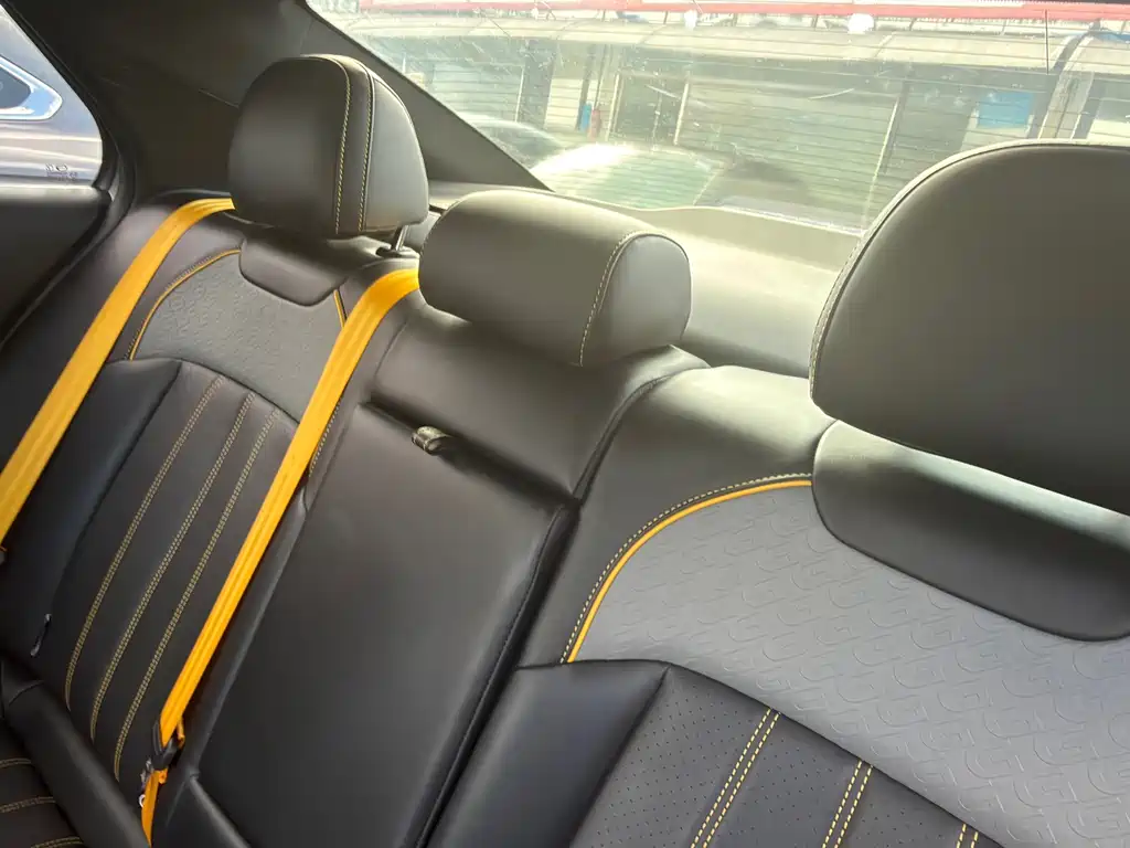 GAC Motor Shadow Leopard — миниатюра 9
