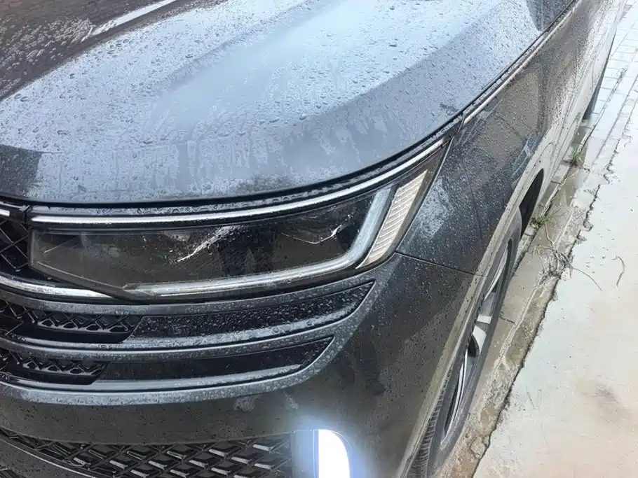 Volkswagen Tavendor — миниатюра 5