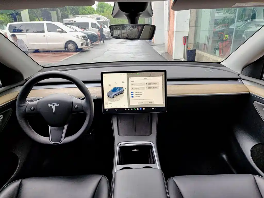 Tesla Model Y — миниатюра 10