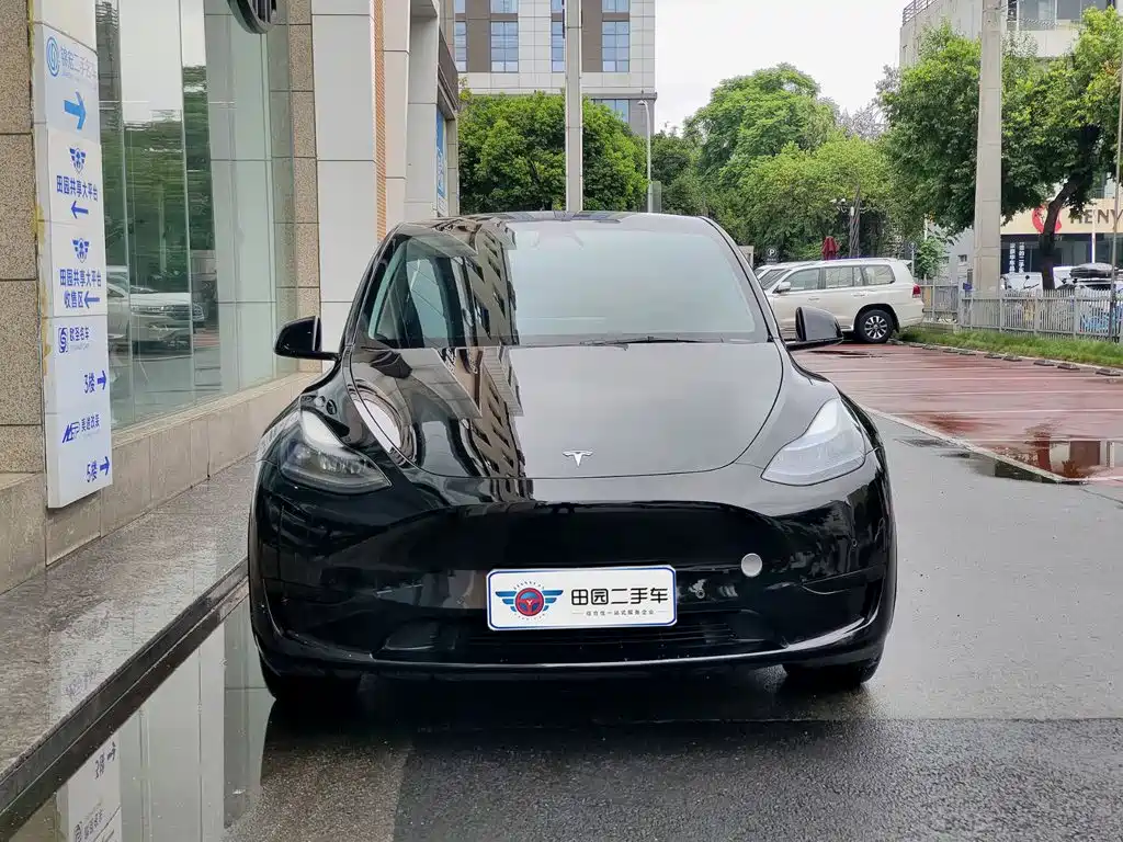 Tesla Model Y — миниатюра 2