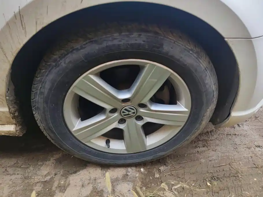 Volkswagen Lamando — миниатюра 6