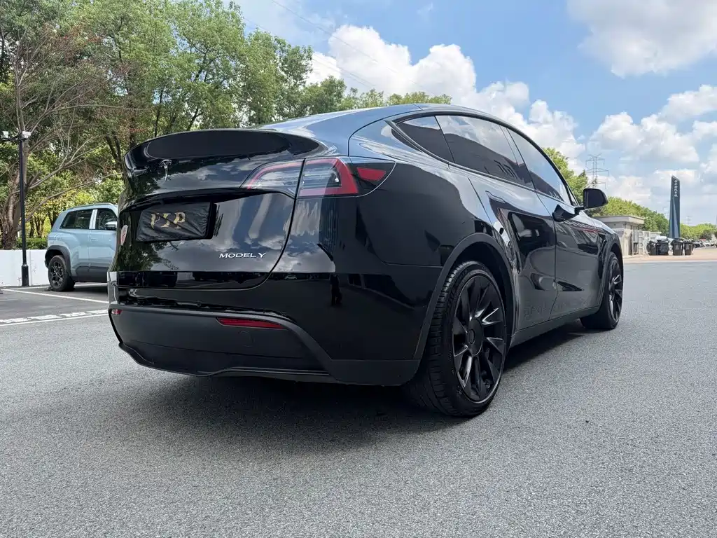 Tesla Model Y — миниатюра 13
