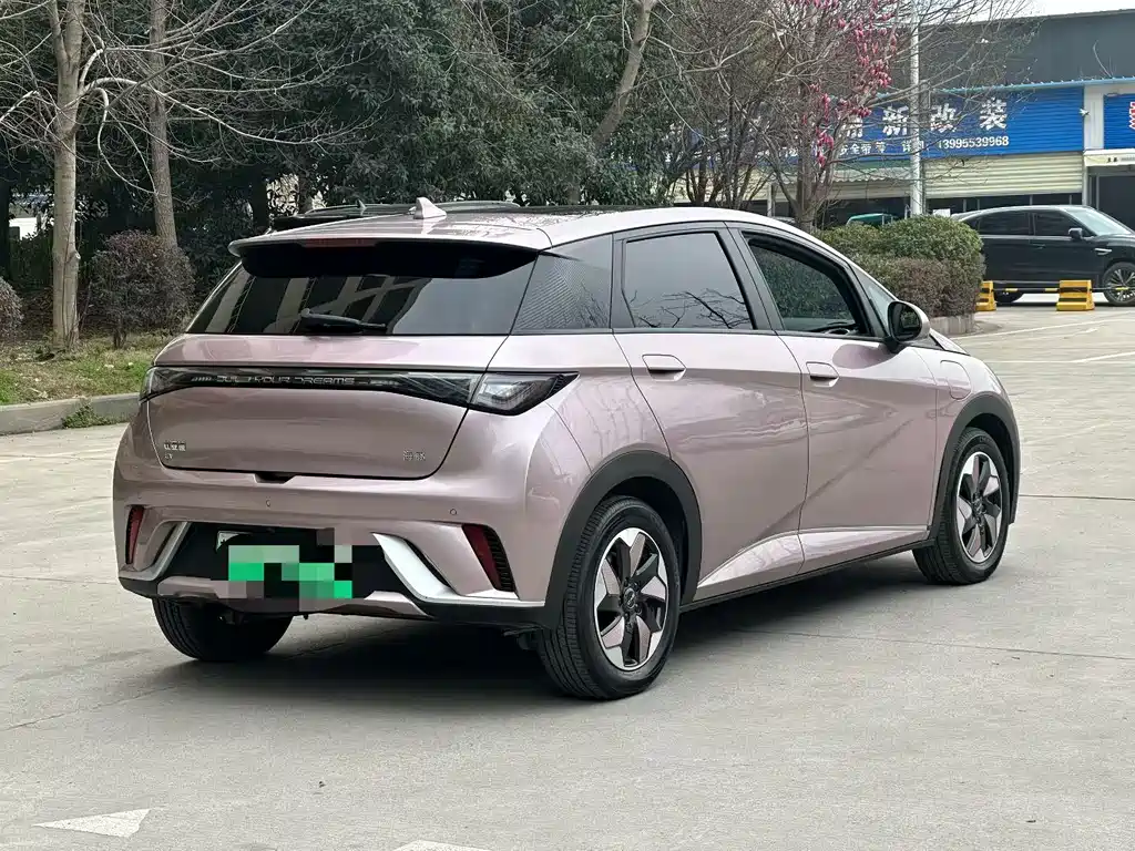 BYD DOLPHIN