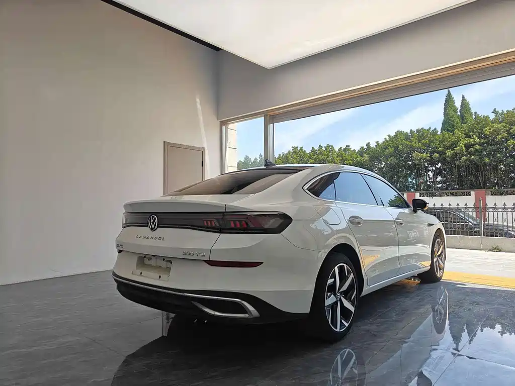 Volkswagen Lamando — миниатюра 5