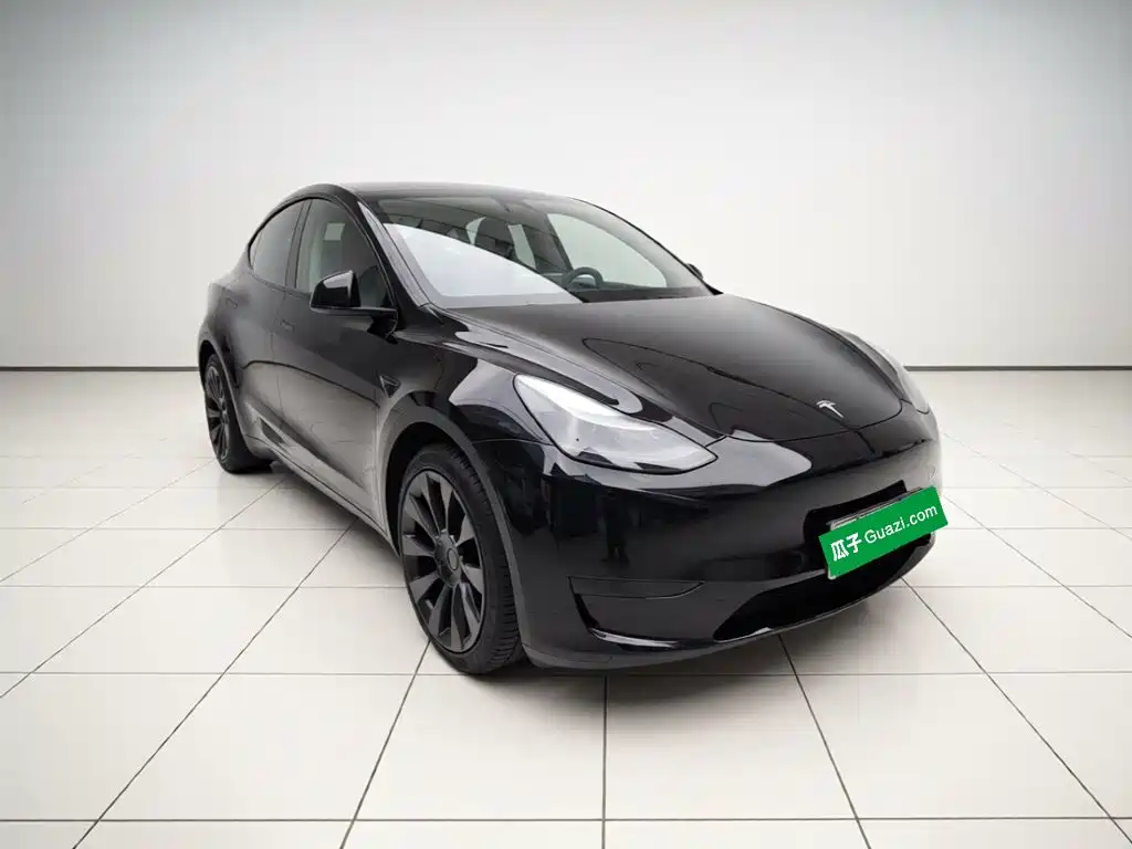 Tesla Model Y — миниатюра 3