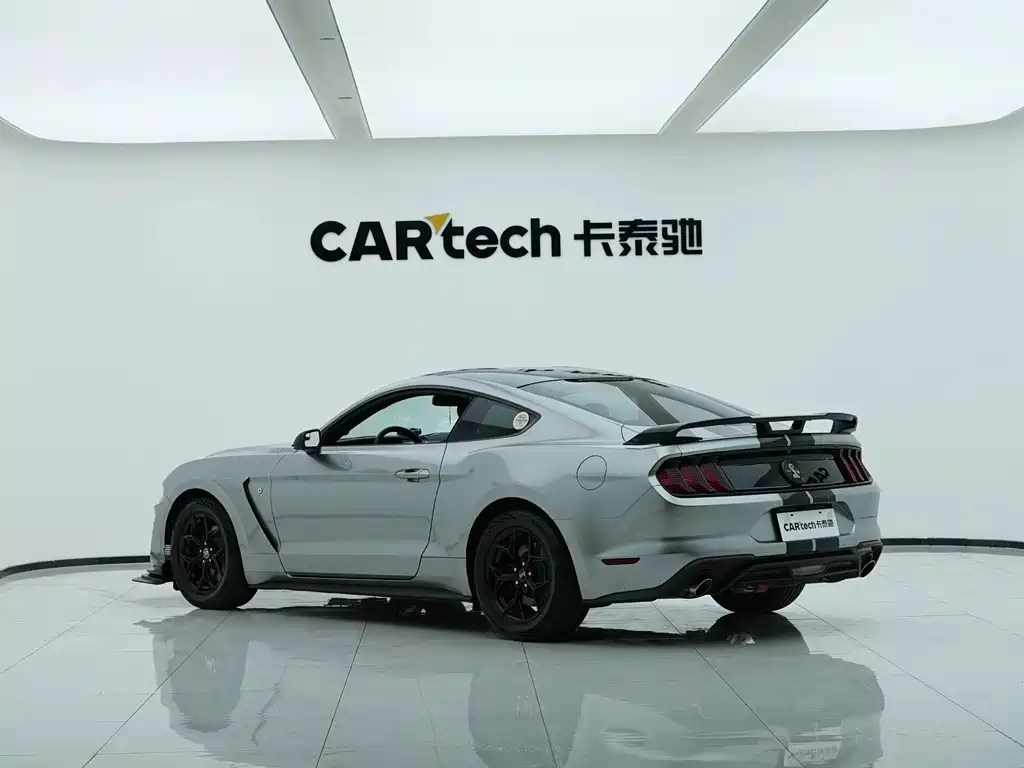 Ford Mustang — миниатюра 9