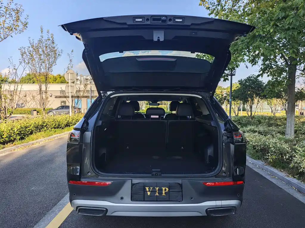 Volkswagen Tavendor — миниатюра 14