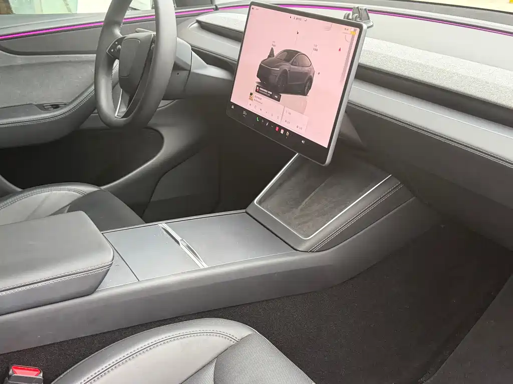 Tesla Model Y — миниатюра 11