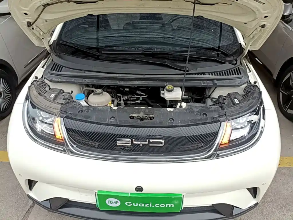 BYD Dolphin — миниатюра 20