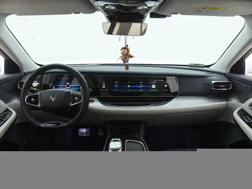 ARCFOX EXTREME FOX POLAR FOX ALPHA S