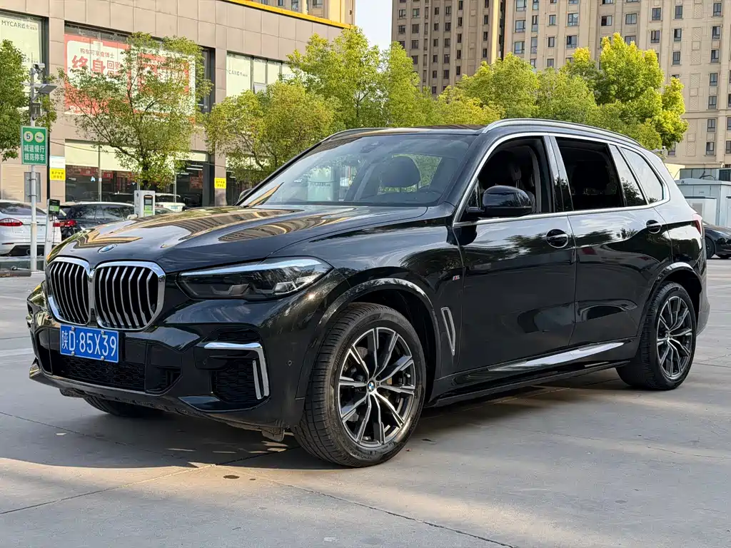 BMW X5 — миниатюра 11