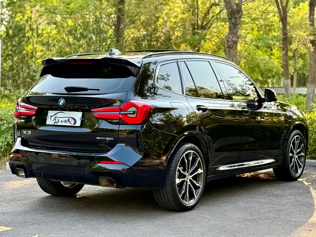 BMW X3 — миниатюра 4