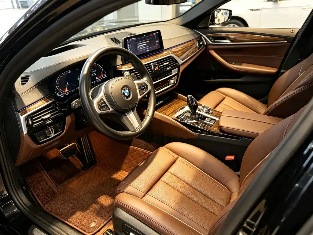 BMW 5 Series — миниатюра 6