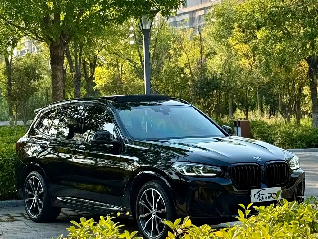 BMW X3 — миниатюра 7
