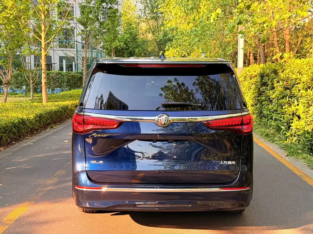 Buick GL8 — миниатюра 4