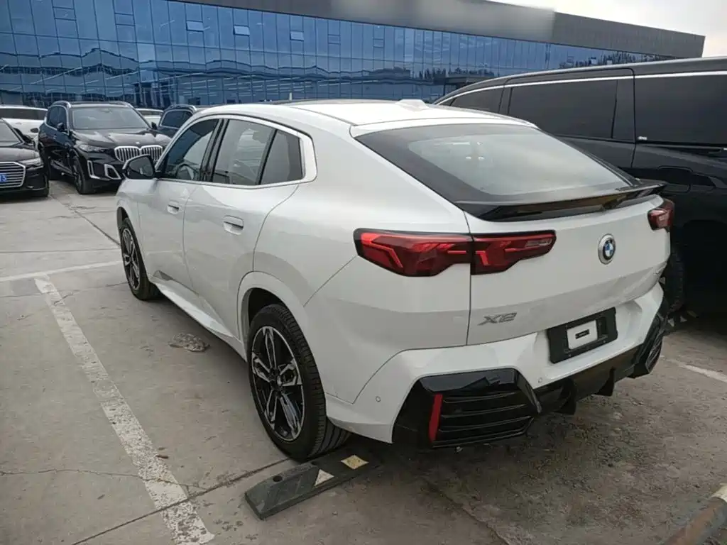 BMW X2 (Import) — миниатюра 5