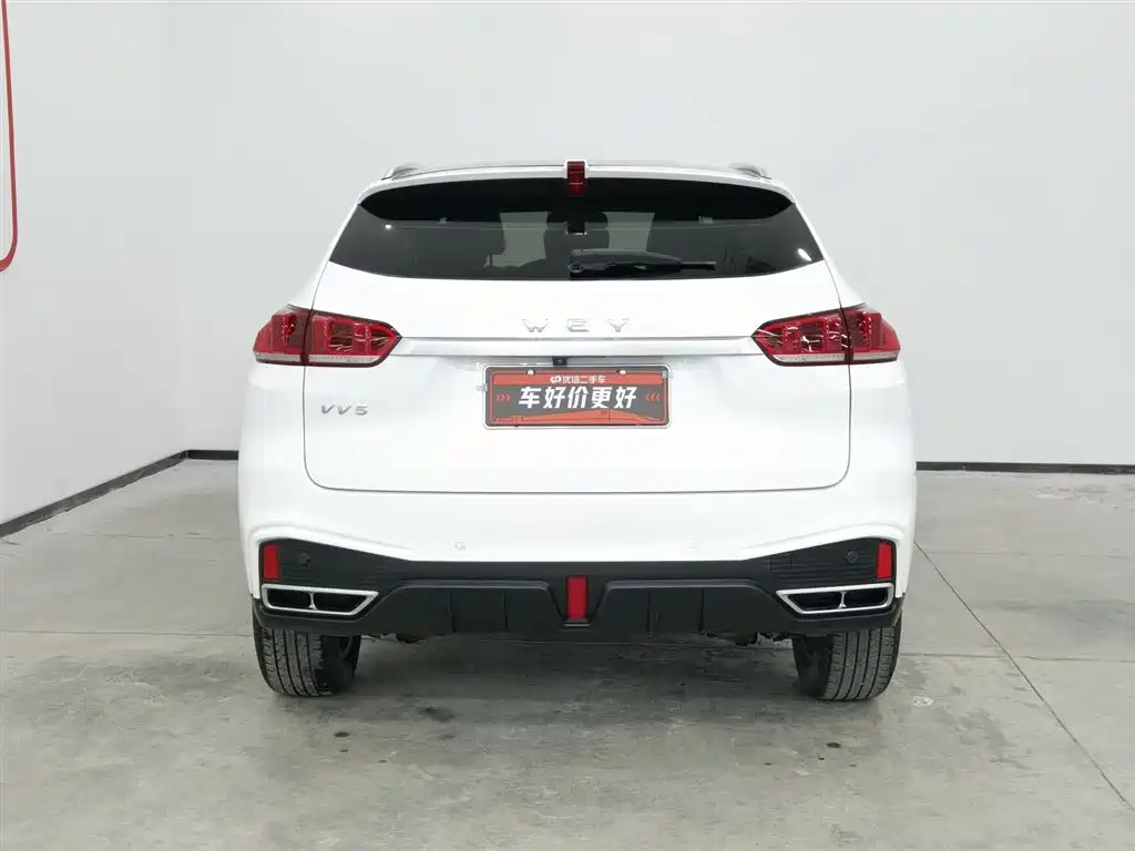 WEI PAI WEI BRAND VV5