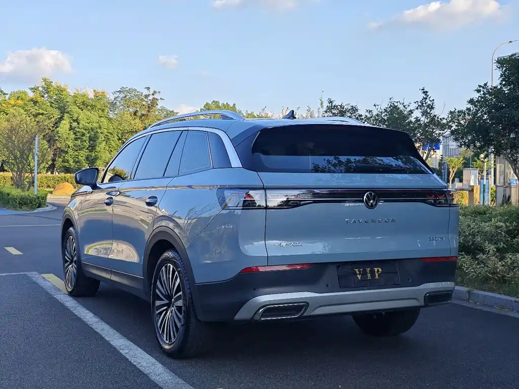 Volkswagen Tavendor — миниатюра 15