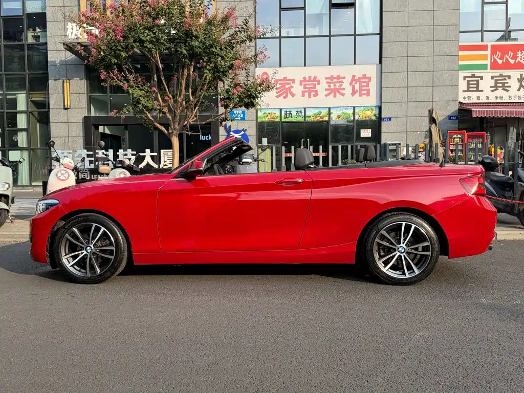 BMW 2 Series (Import) — миниатюра 3