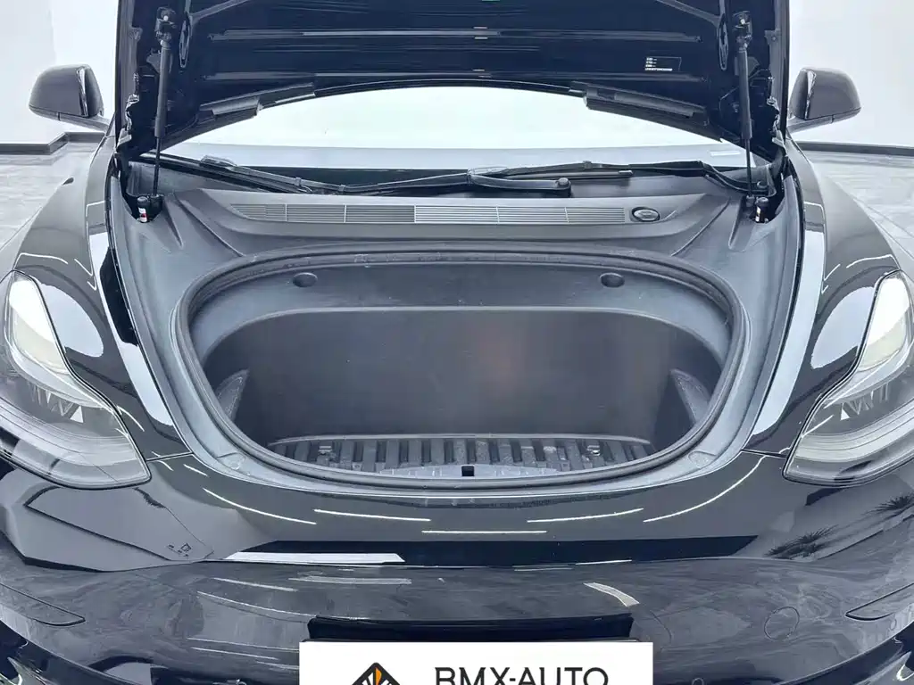 Tesla Model 3 — миниатюра 7