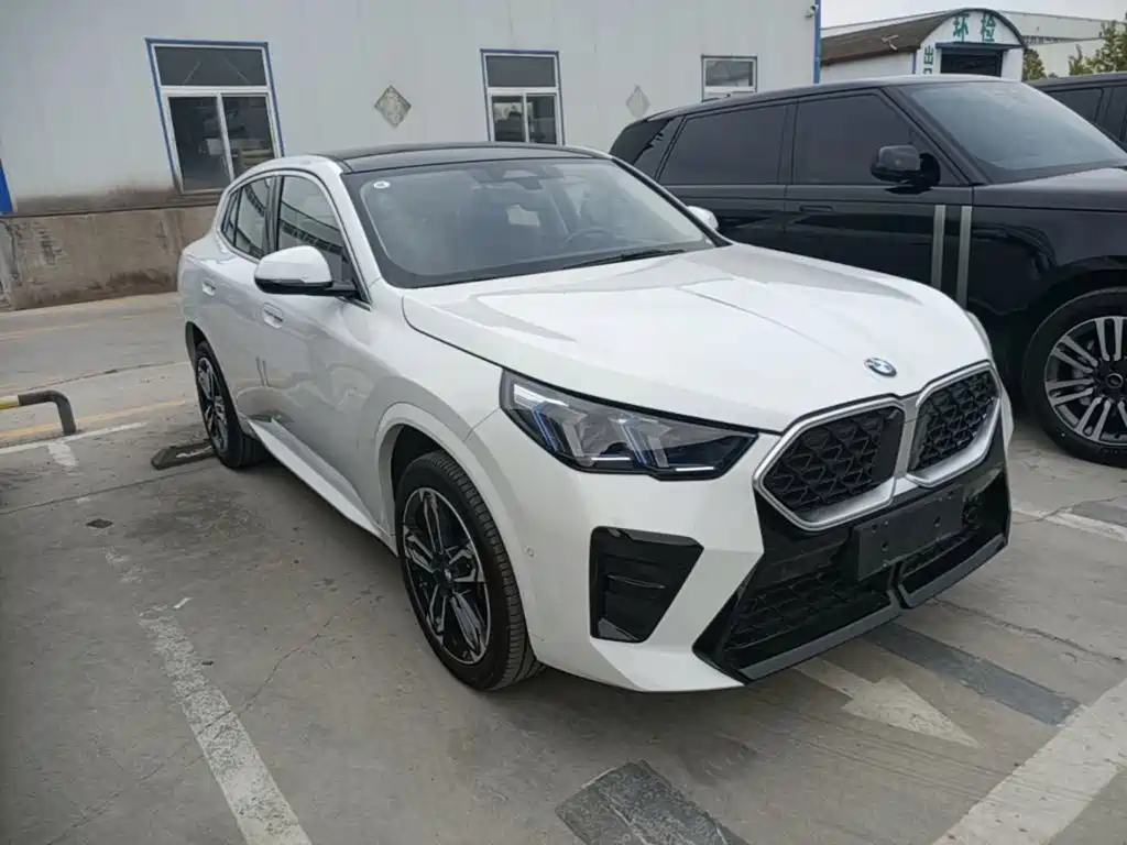 BMW X2 (Import) — миниатюра 4