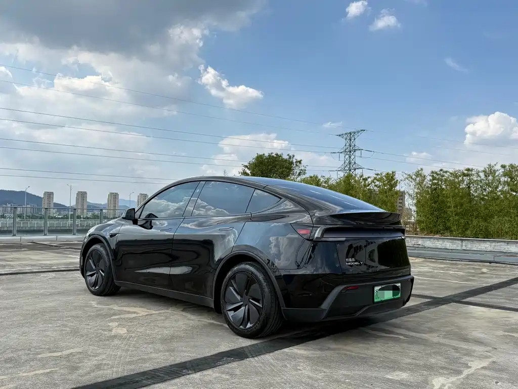Tesla Model Y — миниатюра 6