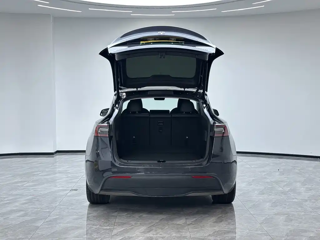 Tesla Model Y — миниатюра 18