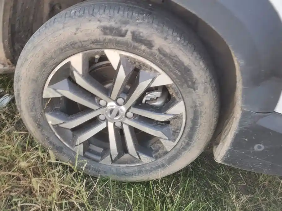 Haval Big Dog — миниатюра 6