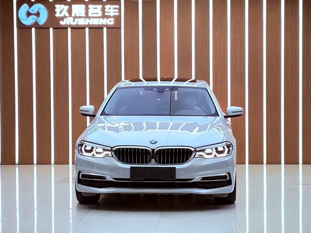 BMW 5 Series New Energy — миниатюра 2