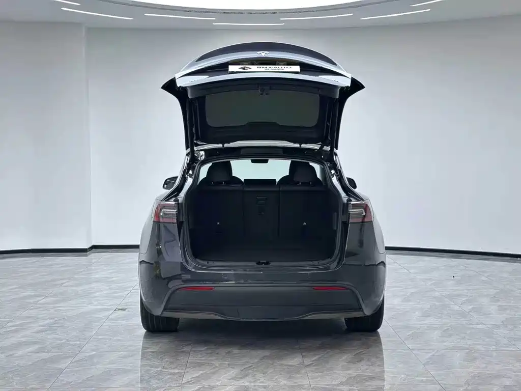 Tesla Model Y — миниатюра 3