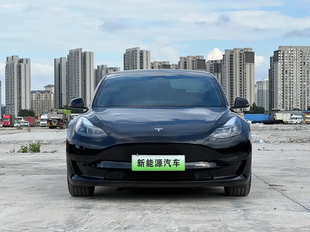 Tesla Model 3 — миниатюра 2